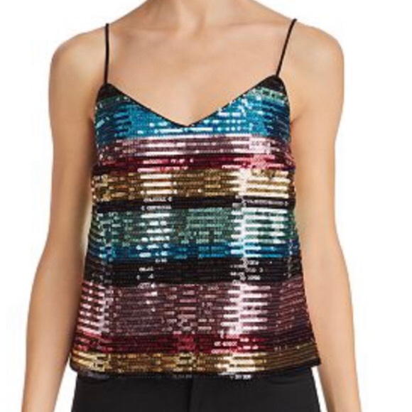 Wayf Tops - NWOT WAYF Nordstrom Striped Sequin Cami Tank Shirt